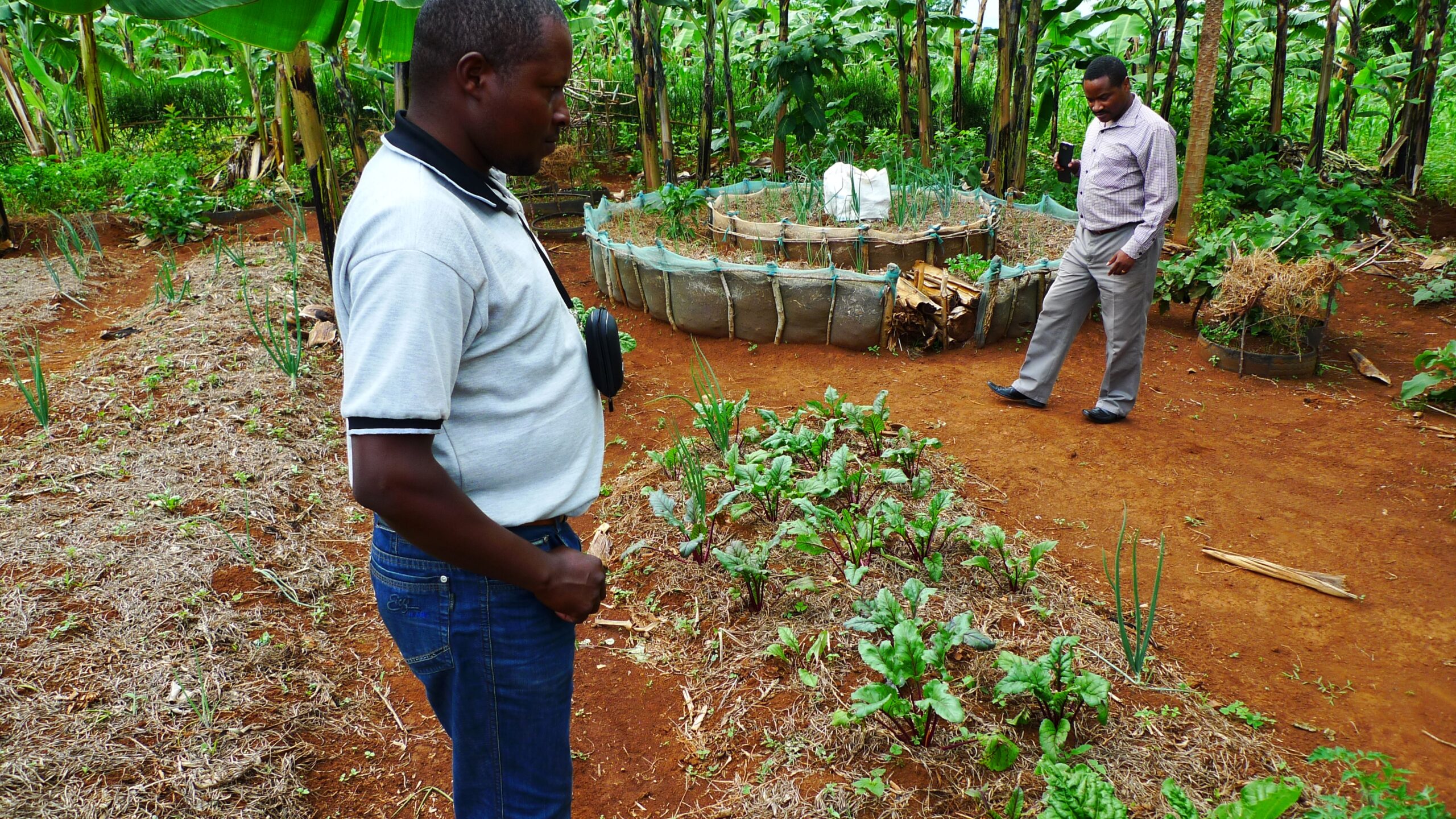 Permaculture kitchen gardens